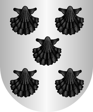 ESCUDO ALEATORIO